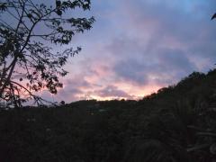 Isaac's clouds add a rosy hue to Thursday's St. Thomas sunrise. (Laurel Kaufman photo)